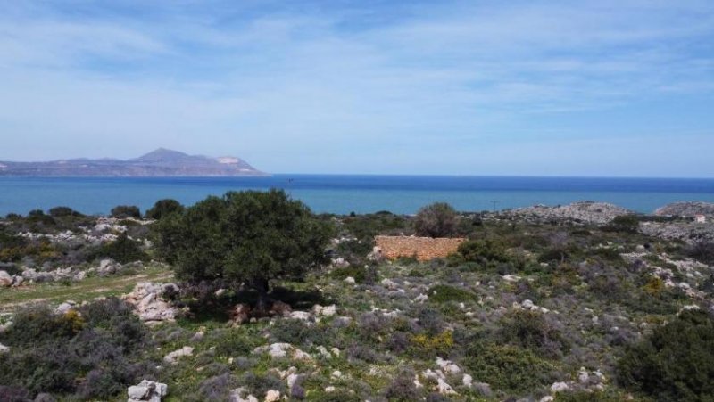 Kokkino Chorio Kreta, Kokkino Chorio: Malerisches Gelände mit Panoramablick aufs Meer zu verkaufen Grundstück kaufen